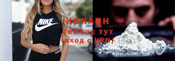 дмт Богородицк